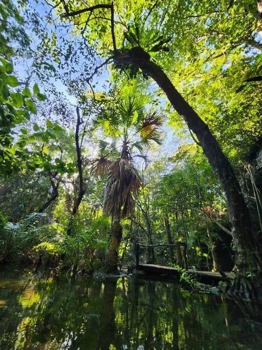 Vila Casa De La Selva-Jungle Getaway With Cenotes Playa del Carmen
