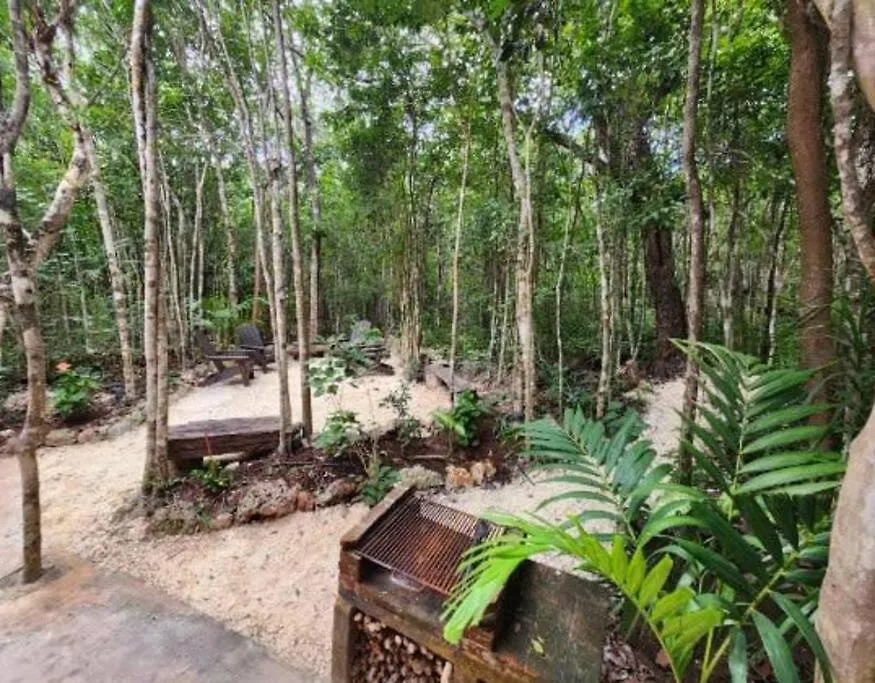 Casa De La Selva-Jungle Getaway With Cenotes Villa Playa del Carmen 0*,