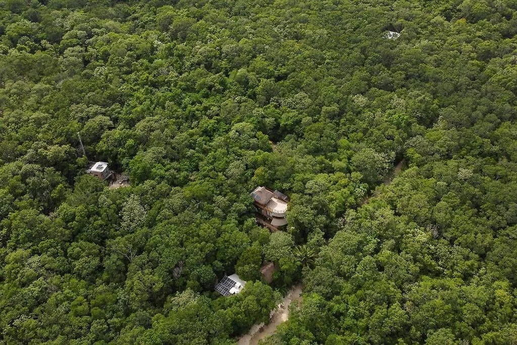 Casa De La Selva-Jungle Getaway With Cenotes Villa Playa del Carmen Mexico