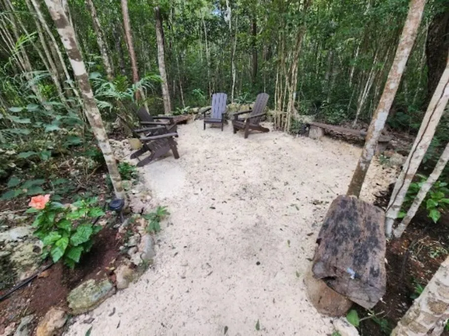 Casa De La Selva-Jungle Getaway With Cenotes Villa Playa del Carmen 0*,  Mexico
