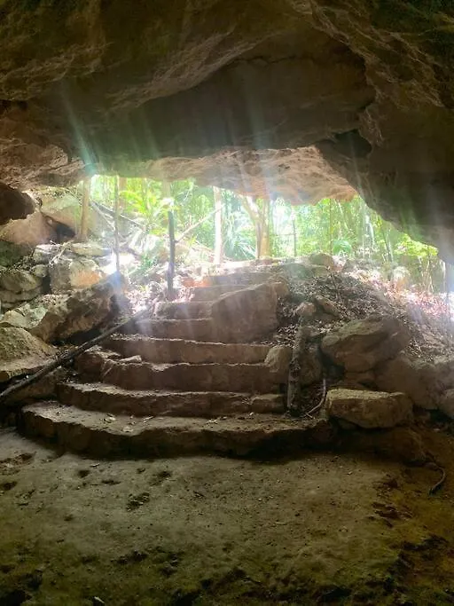 Holiday home Casa De La Selva-Jungle Getaway With Cenotes Villa Playa del Carmen Mexico