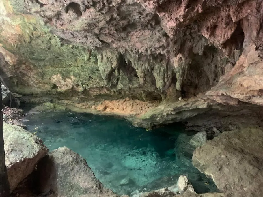 Casa De La Selva-Jungle Getaway With Cenotes Villa Playa del Carmen