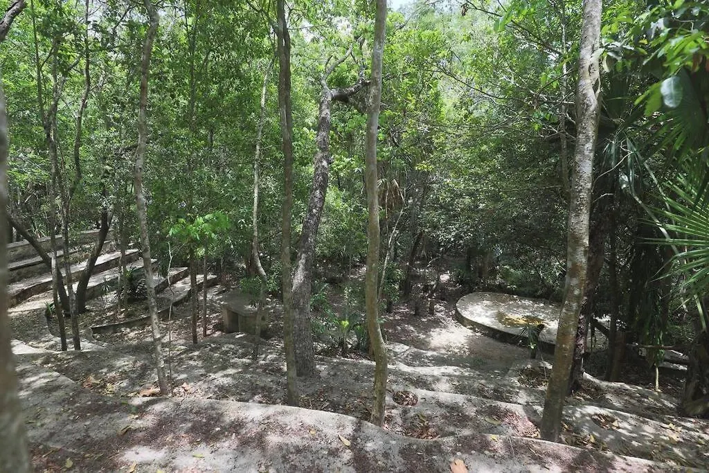 Casa De La Selva-Jungle Getaway With Cenotes Villa Playa del Carmen Holiday home