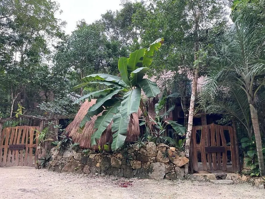Holiday home Casa De La Selva-Jungle Getaway With Cenotes Villa Playa del Carmen