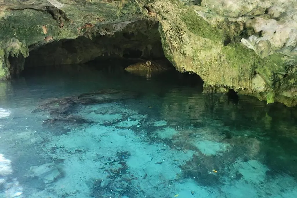Casa De La Selva-Jungle Getaway With Cenotes Villa Playa del Carmen