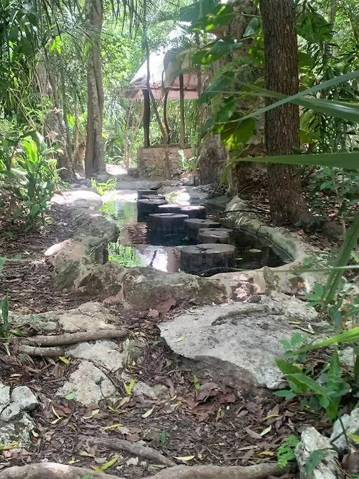 Holiday home Casa De La Selva-Jungle Getaway With Cenotes Villa Playa del Carmen