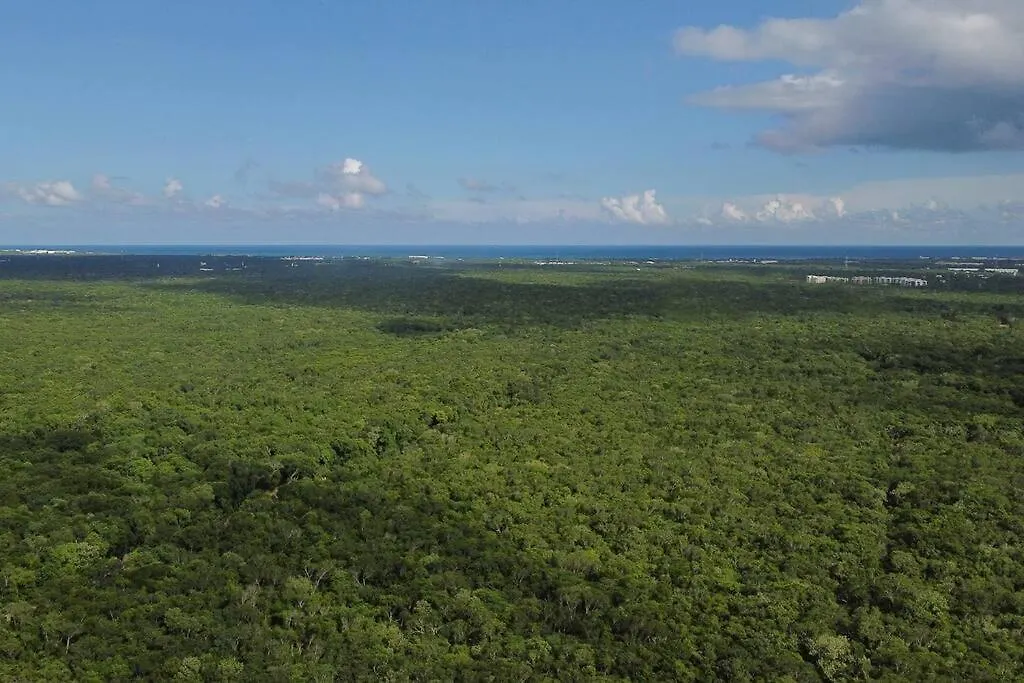 Holiday home Casa De La Selva-Jungle Getaway With Cenotes Villa Playa del Carmen